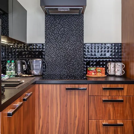 Orkana Chic Apartment Катовіце Екстер'єр фото